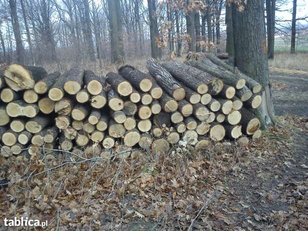 Drewno kominkowe i opałowe od 280zl  worki rospałkowe 12zł suchy buk .