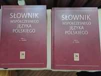 duży słownik języka polskiego wyd. Przegląd Reader's Digest - 2 tomy