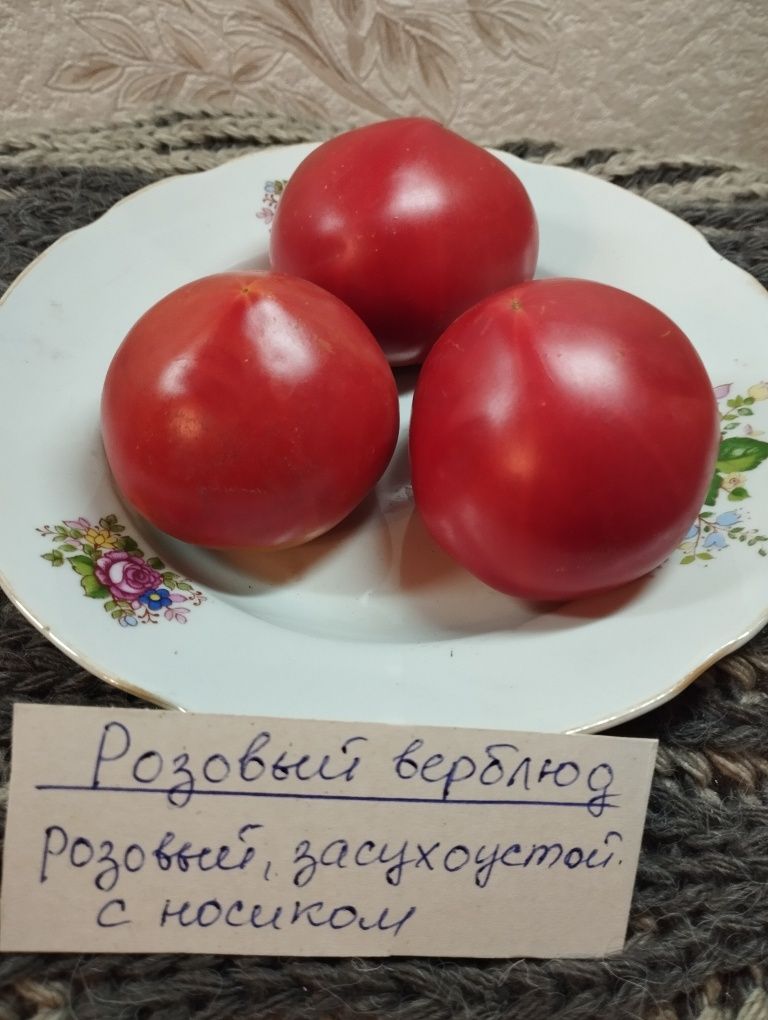 Семена  томатов и огурцов