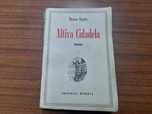 Livro " Altiva Cidadela "