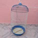 Gaiola para pássaro