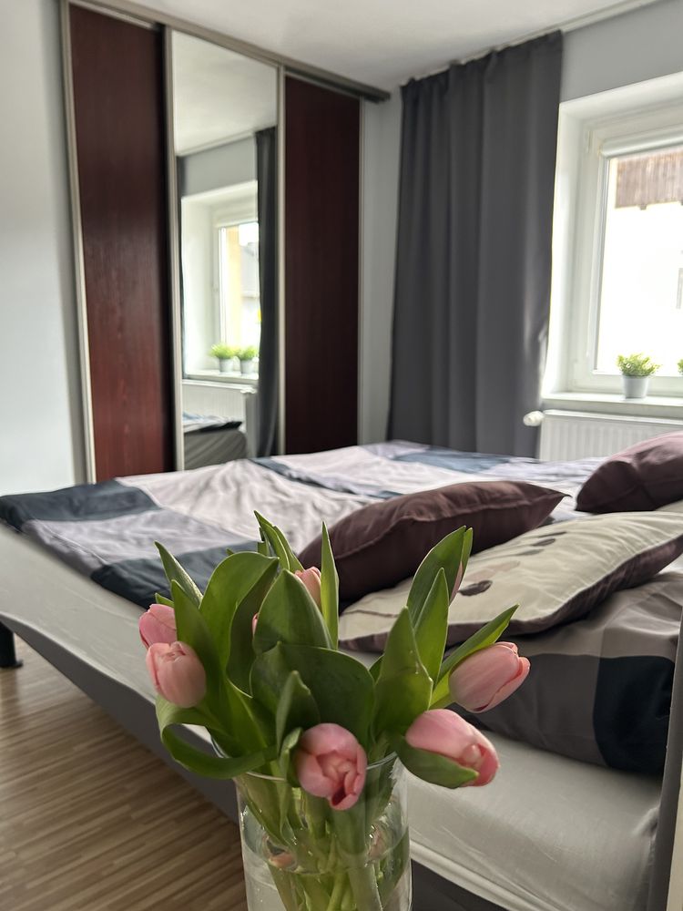 Apartament Alanos w samym Centrum Karpacza wolny od 24.07
