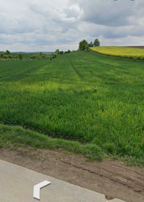 Działka rolno budowlana 82 Ar  Biskupice Proszowice widokowa duża