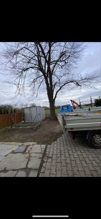 Uslugi ogrocznie wycinka drzew przycinanie Tui rozbiorki