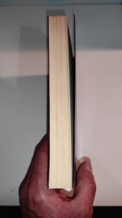 Livro Paixão sem limites - Meredith wild