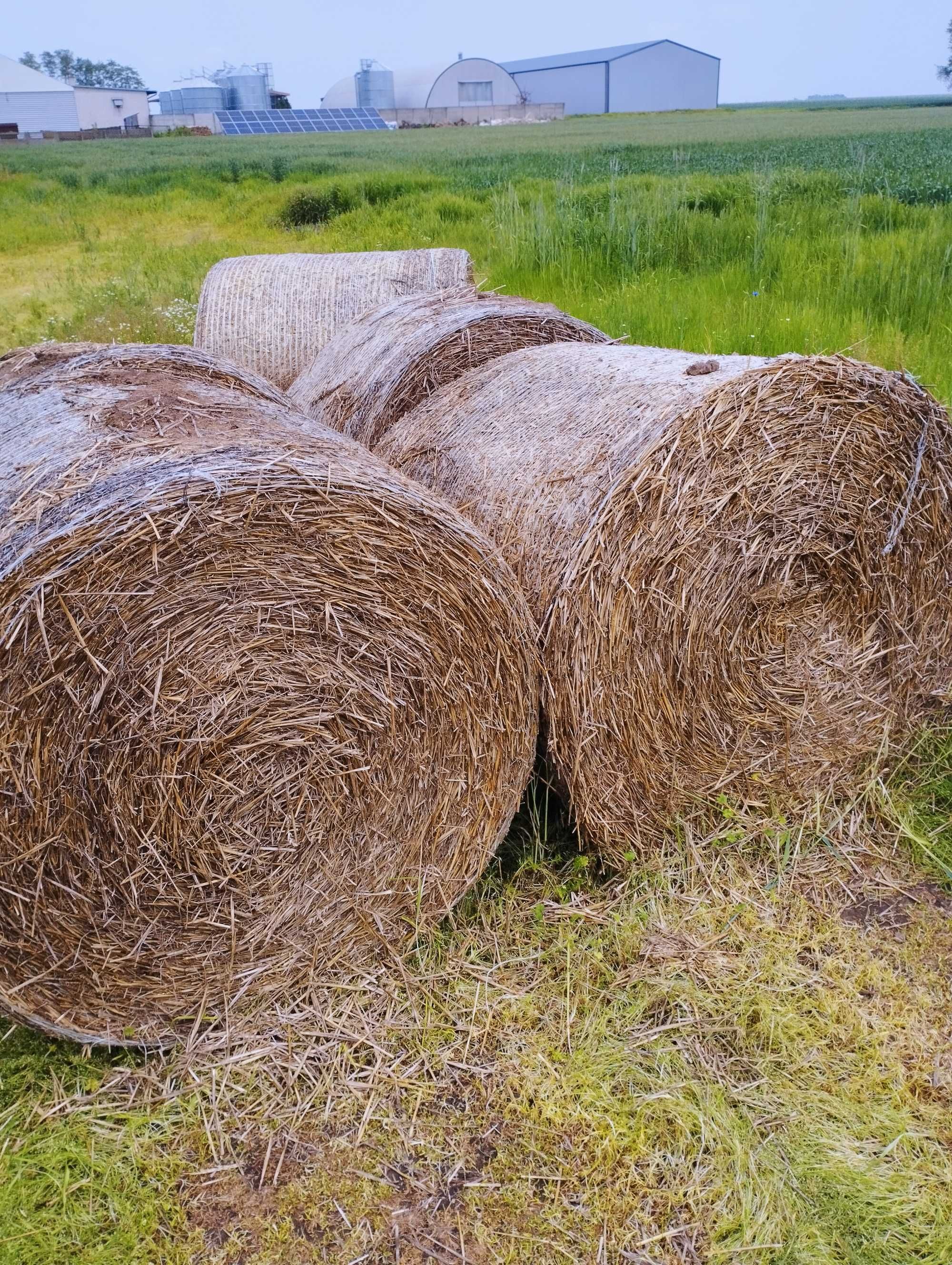 Sprzedam słomę w belach