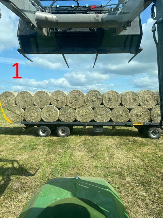 siano duży transport niska cena