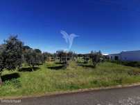Lote de Moradia