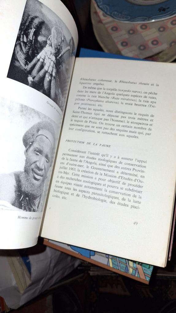 Angola monografia Norberto Gonzaga 1968 colonias ultramar