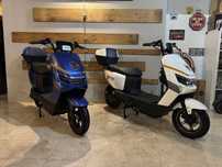 Scooter sem carta Vortex Goose Fox