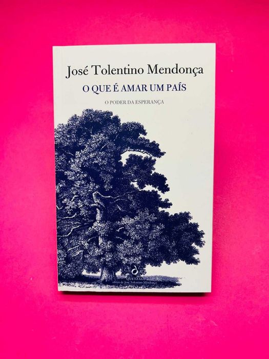 O que é amar um país  - José Tolentino Mendonça