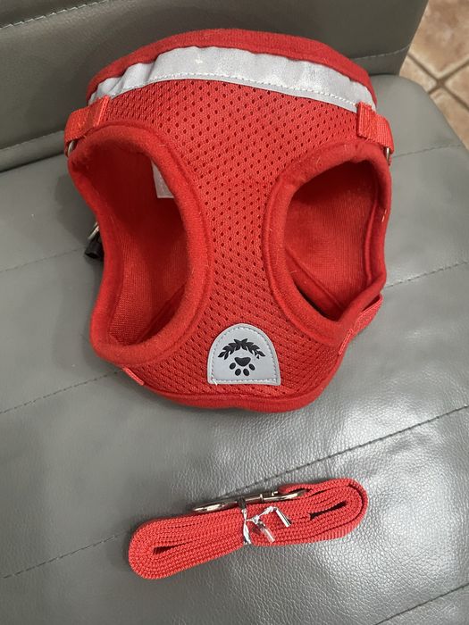 Bezpieczne szelki + smycz