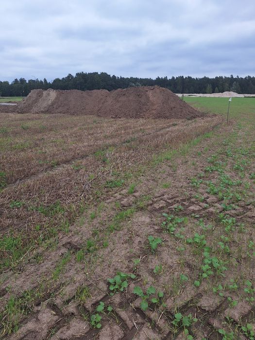 Ziemia humus ogrodowa