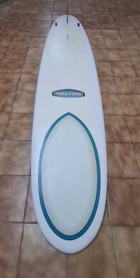 Longboard epoxy South Point 9 2