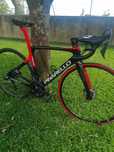 Pinarello Prince Disk