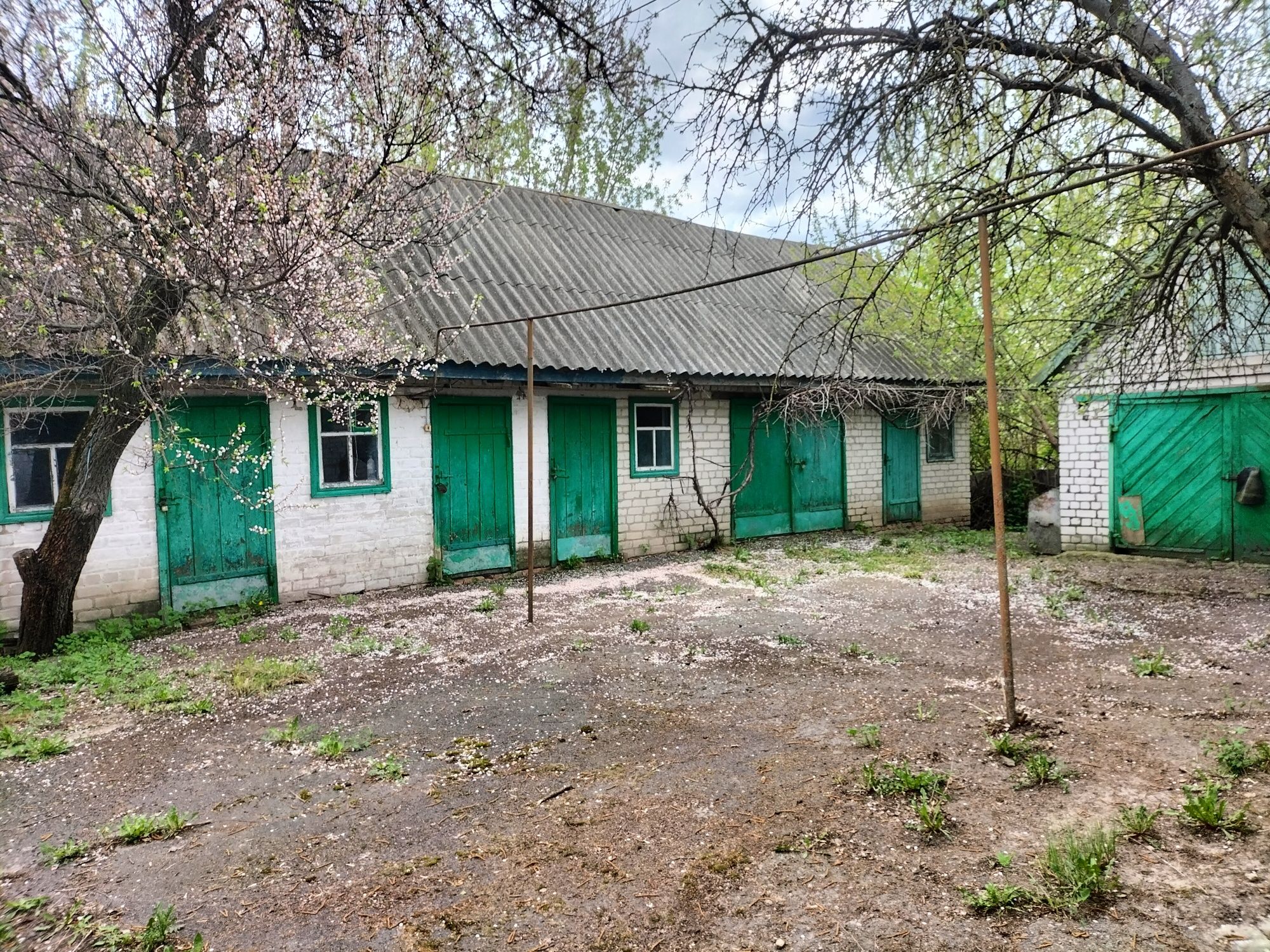 Великий приватний будинок неподалік міста Миргорода