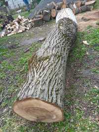 Продам деревину горіха. Горіх стовбур 3м * діаметр від 48 до 60 см