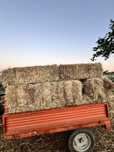 Fardos de palha