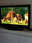 Telewizor Samsung 42 cale sprzedam