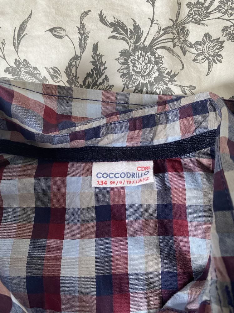 Koszula w kratke krate cocodrillo