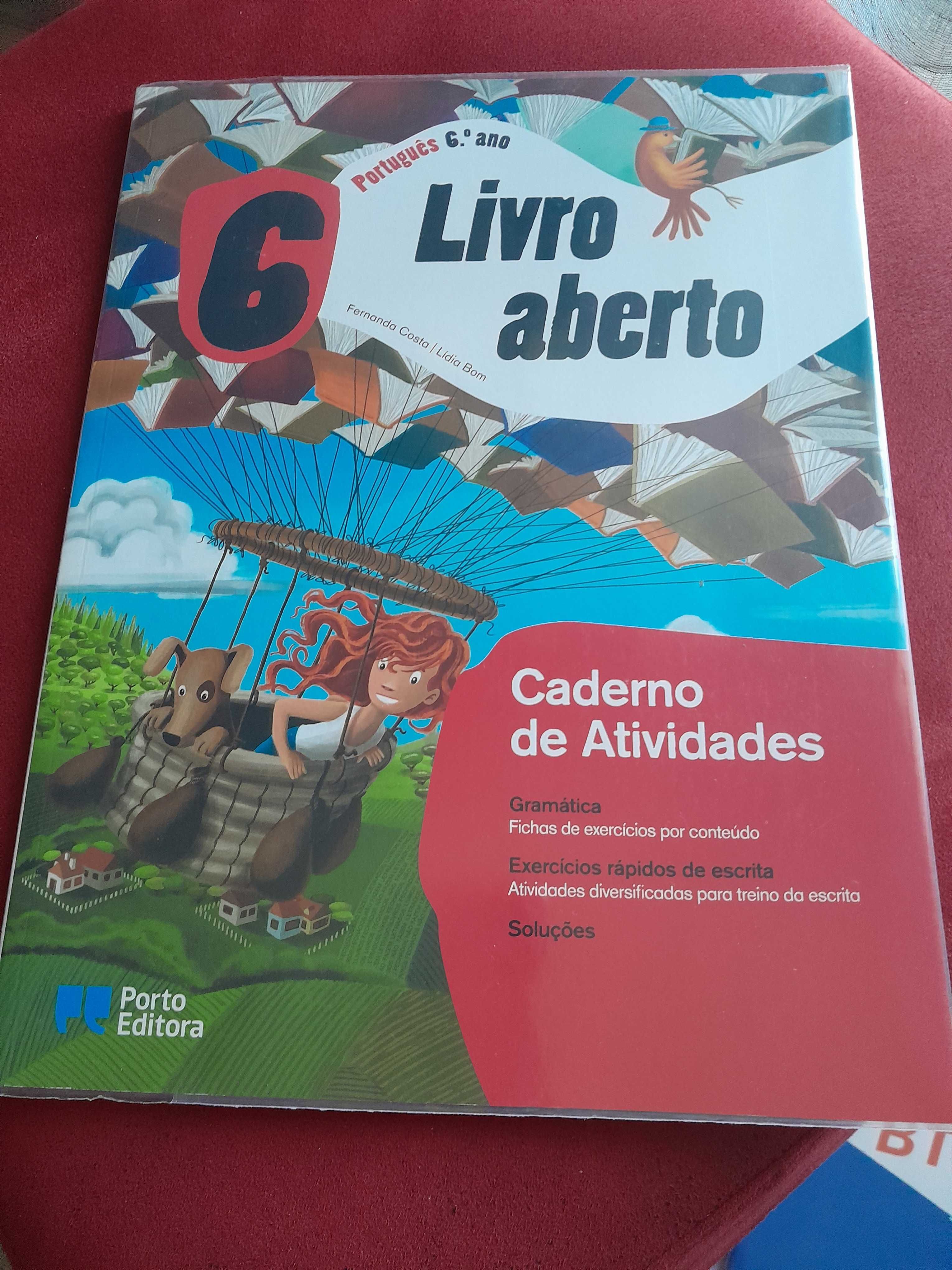 Livro de actividades  6 ano  português novo