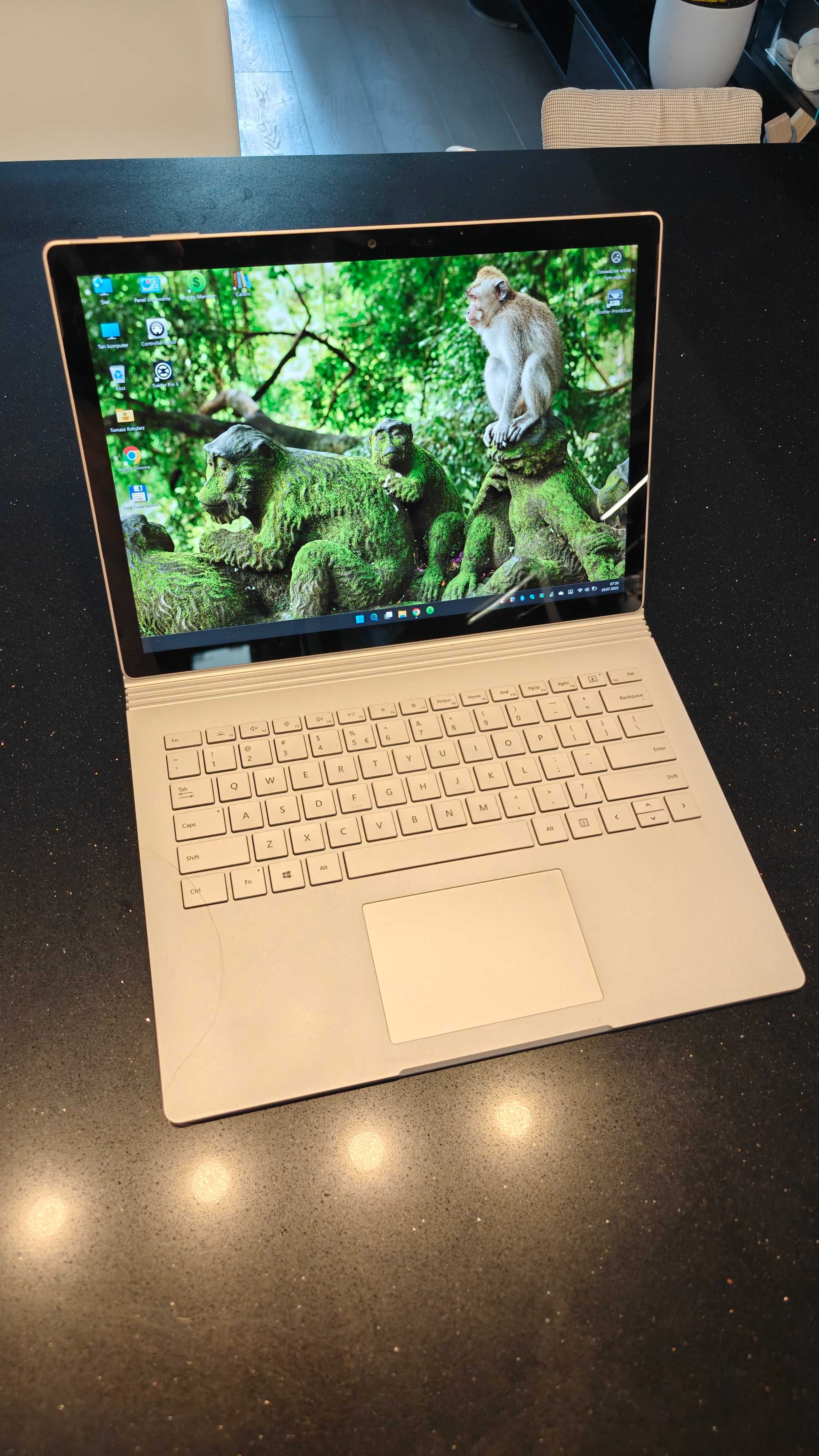Microsoft Surface Book 3 13,5" Intel Core i5 8 GB / 256 GB Srebrny