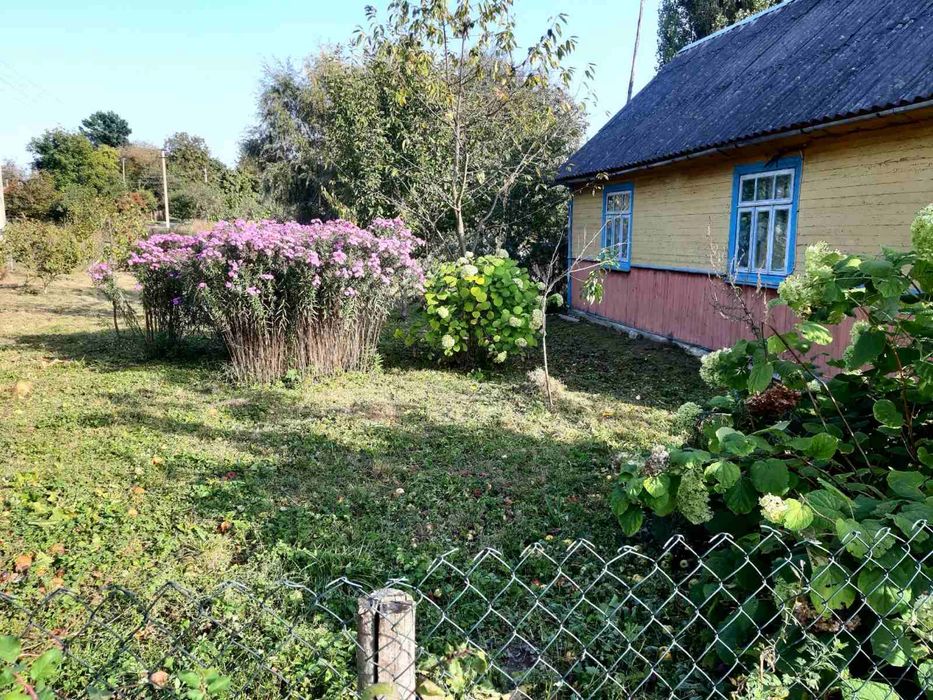 Деревʼяний будинок