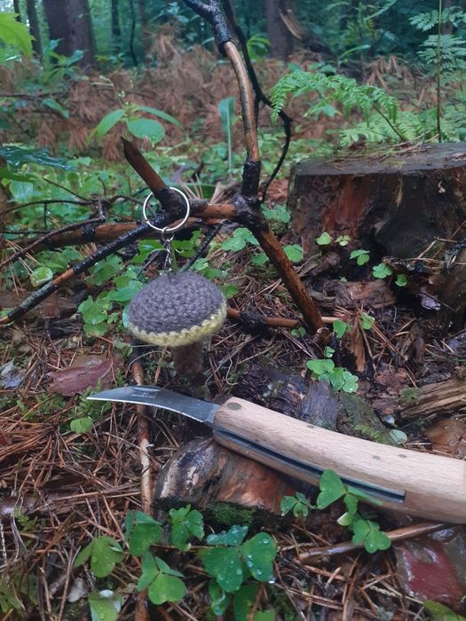 Podgrzybek brunatny breloczek