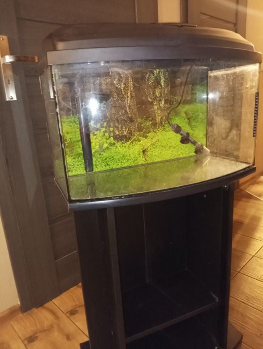 Akwarium dla rybek z szafką 60x24x36 + dodatki