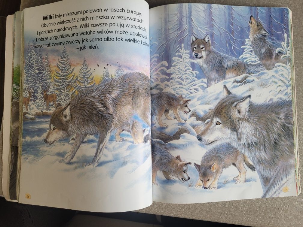 Książka dla dzieci - Zwierzęta świata
