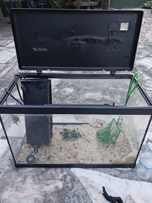 Aquário água fria com filtro 10€
