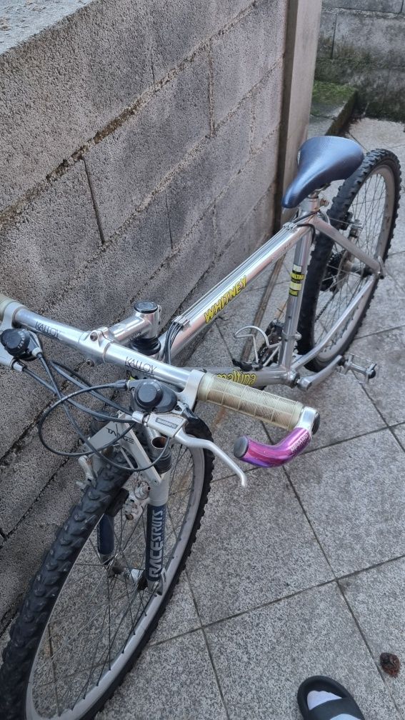 Bicicleta esmaltina