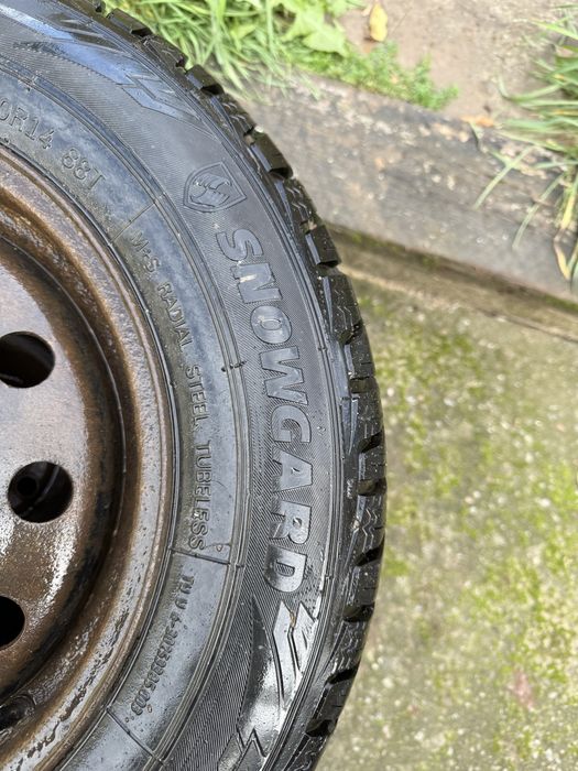 Продам колеса R14 на лагуну