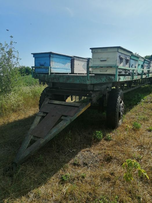 Продам два причіпи для пасіки