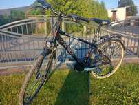 Rower karbon gts
