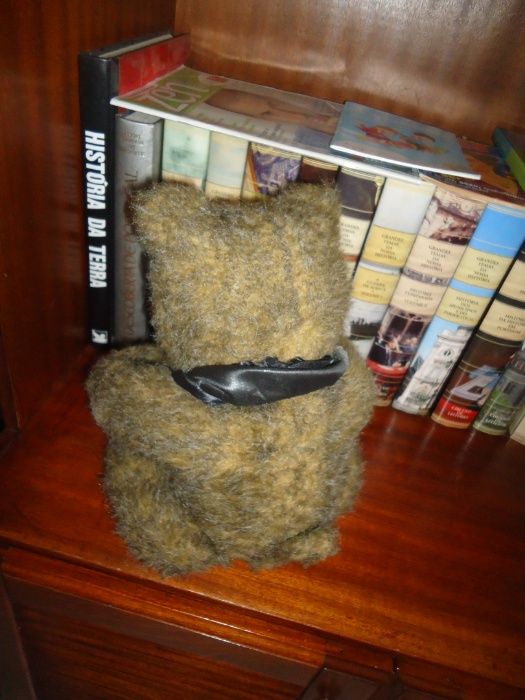 Urso -Teddy Bear