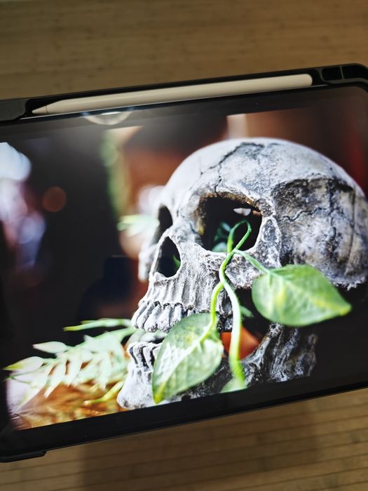 iPad pro 11 m1 256gb