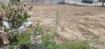 Terreno  para venda