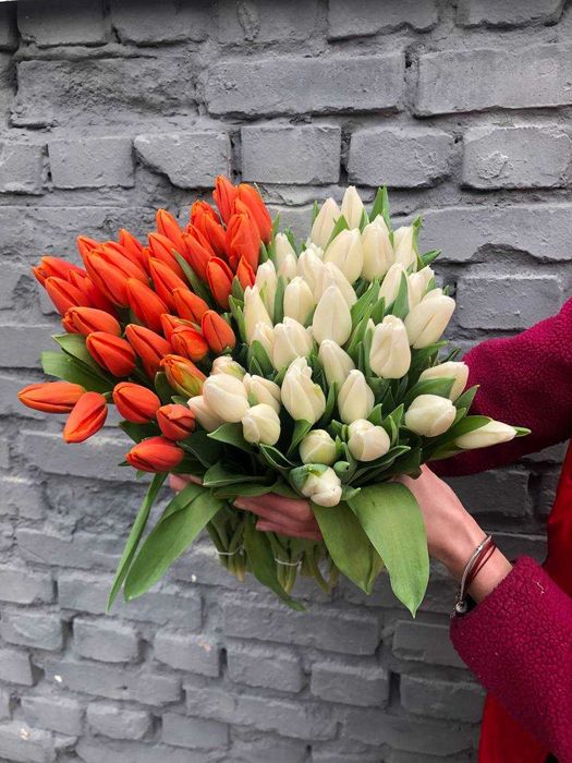 тюльпан гурт 38грн