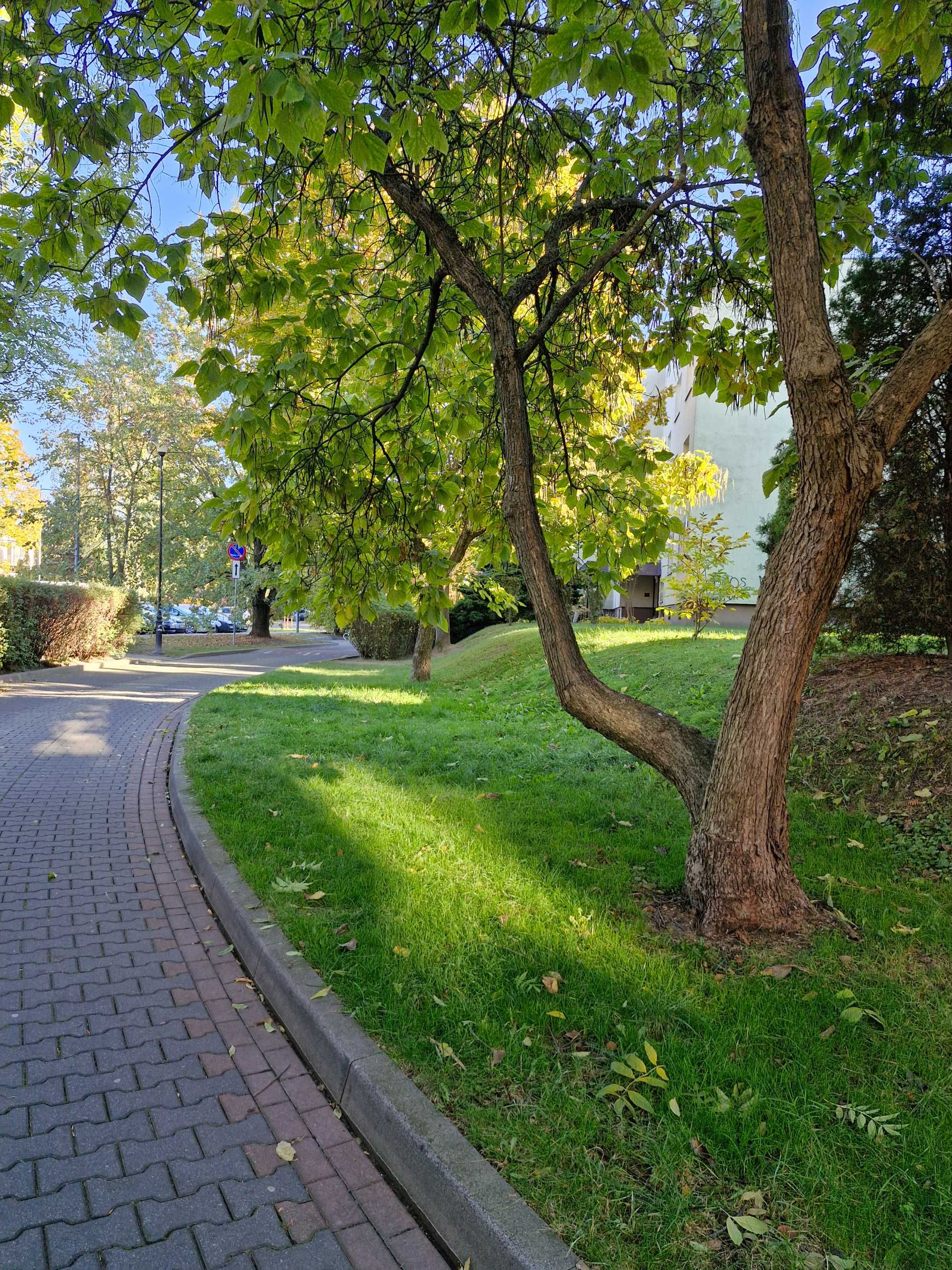 Wilanów, Wiktorii Wiedeńskiej - 100m2, 3 pokoje, super,tanio,cicho!