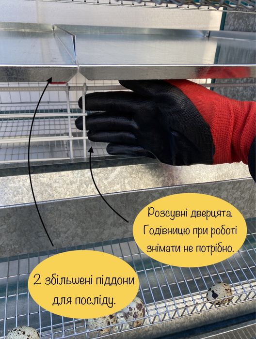 Клітка для перепелів. Клетка для перепелов