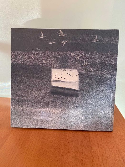 Viagem pelo Tejo meu, nosso - Carlos Salgado