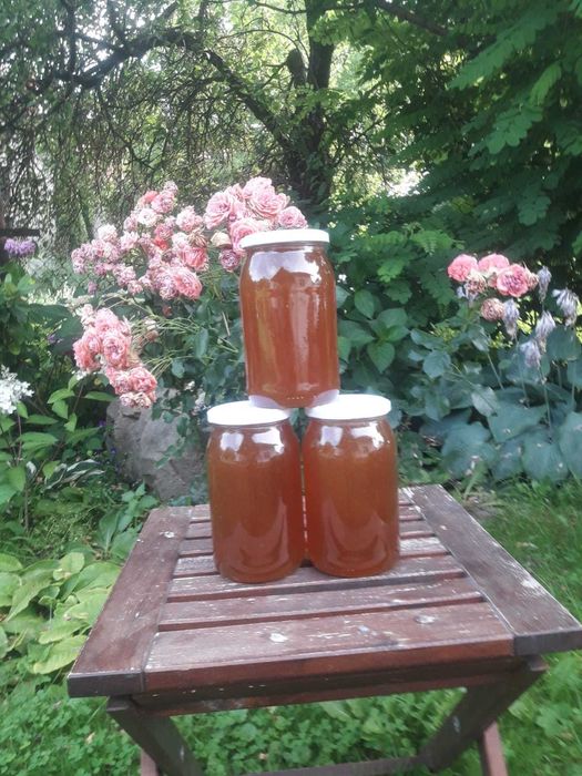 propolis ,kit pszczeli