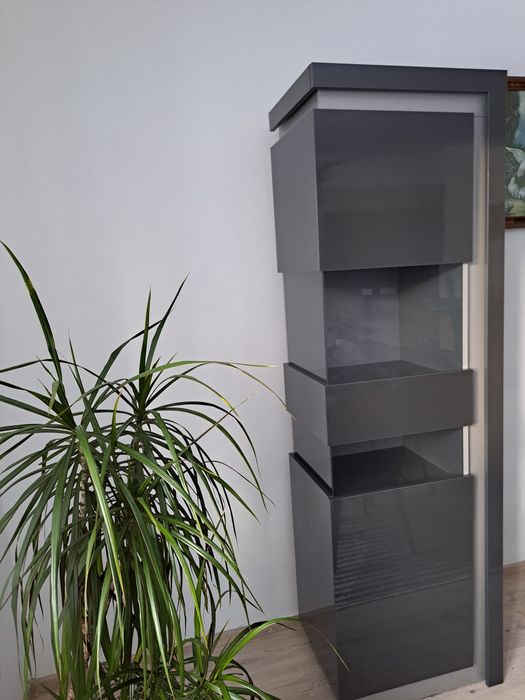 Witryna do salonu pokoju