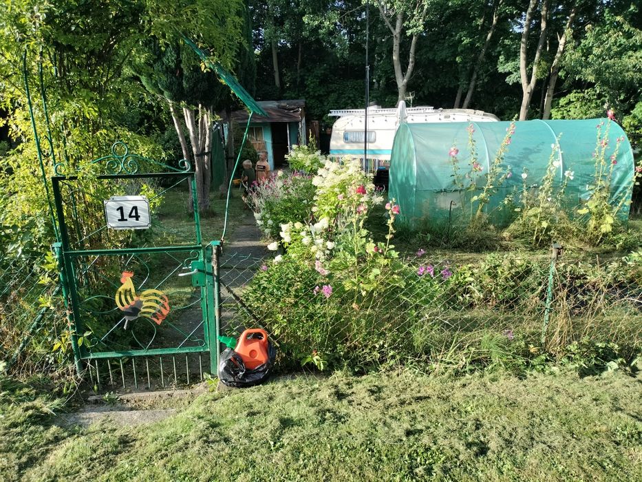 Działka ROD w Straszynie