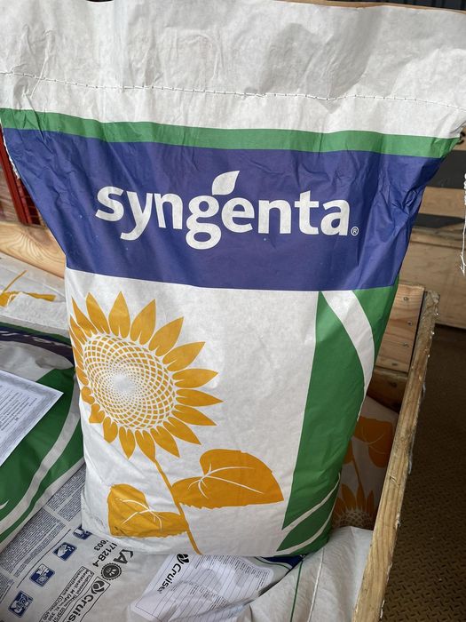 Продаж сонях та кукурудзи