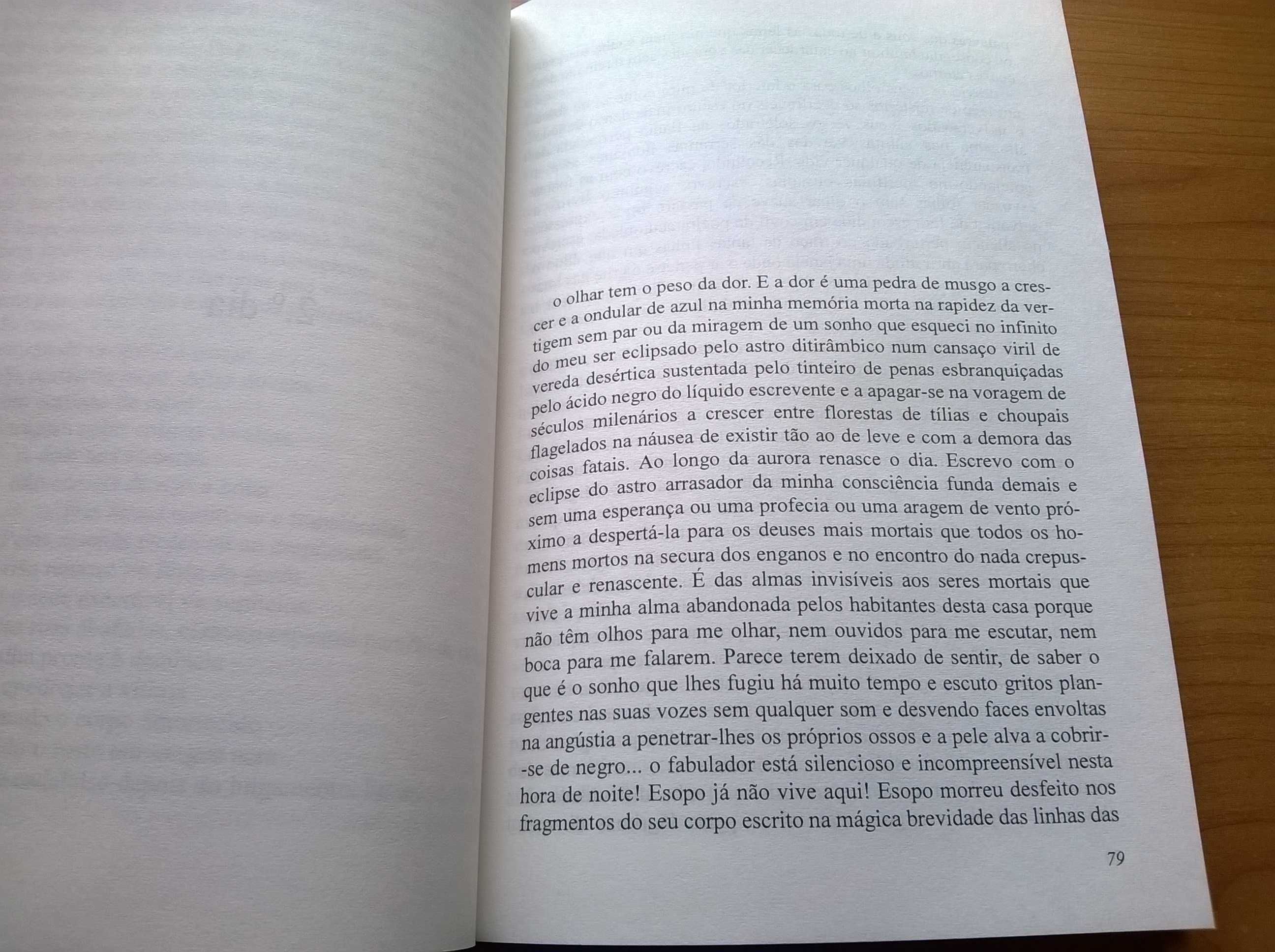 O Segredo de Ana Plácido - Teresa Bernardino