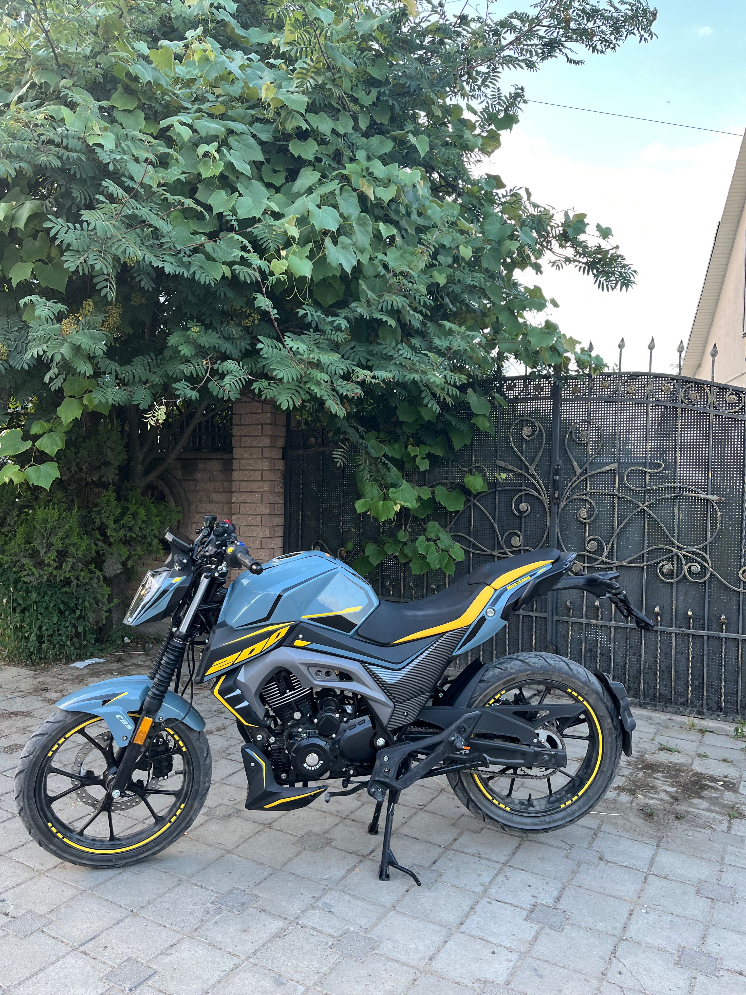 Musstang Region MT 200-9ST