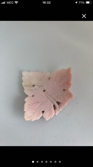 Coral Mediterrâneo  esculpido