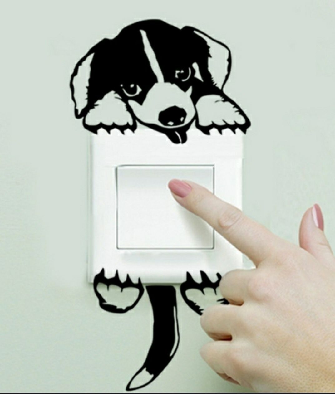 Cão Pendurado no Interruptor.